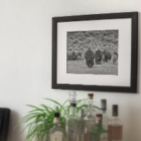 Bison Black White Cabin Farmhouse Style Modern