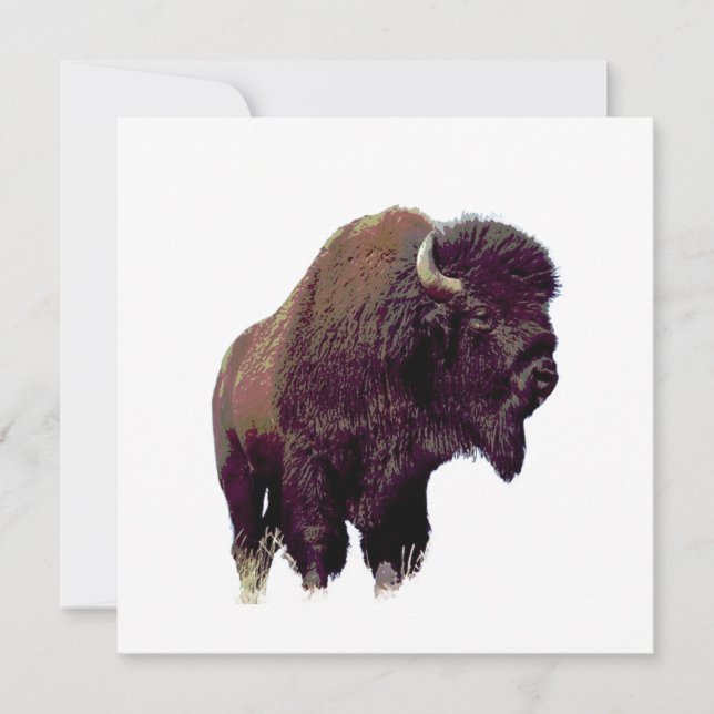 Bison Buffalo  (Front)