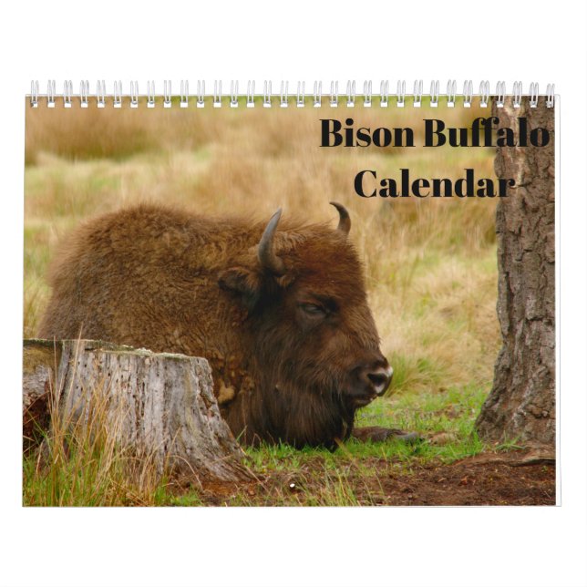 Bison Buffalo 2026 Calendar (Cover)