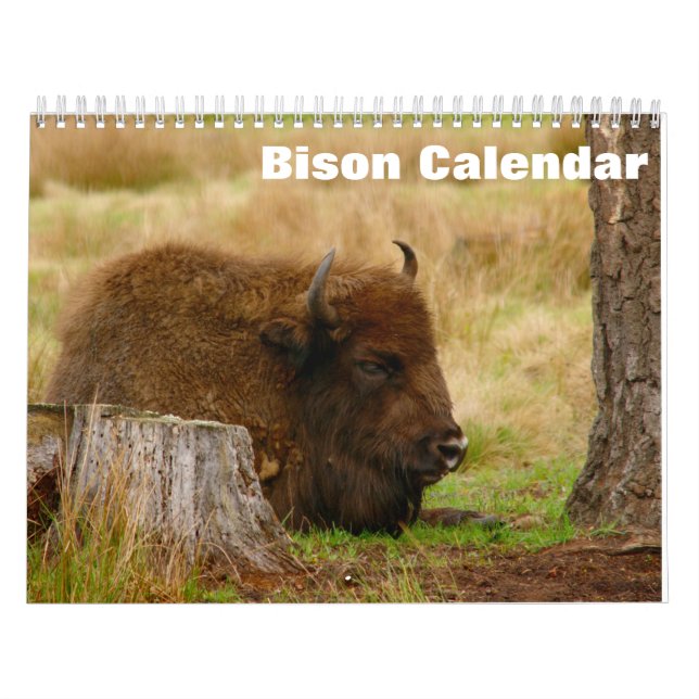 Bison Buffalo 2026 Calendar (Cover)
