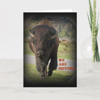 Bison Buffalo Animal We Are Moving Card