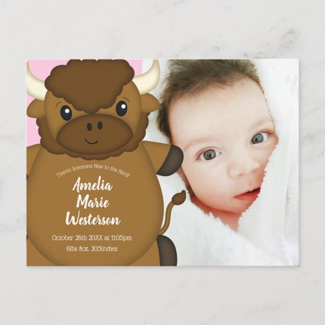 Bison Buffalo Baby Shower Pink Postcard (Front)