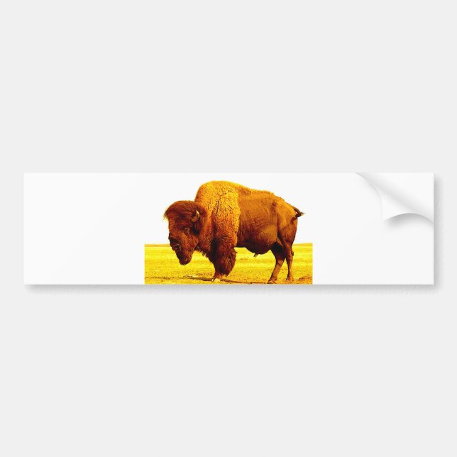 Bison / Buffalo Bumper Sticker (Front)