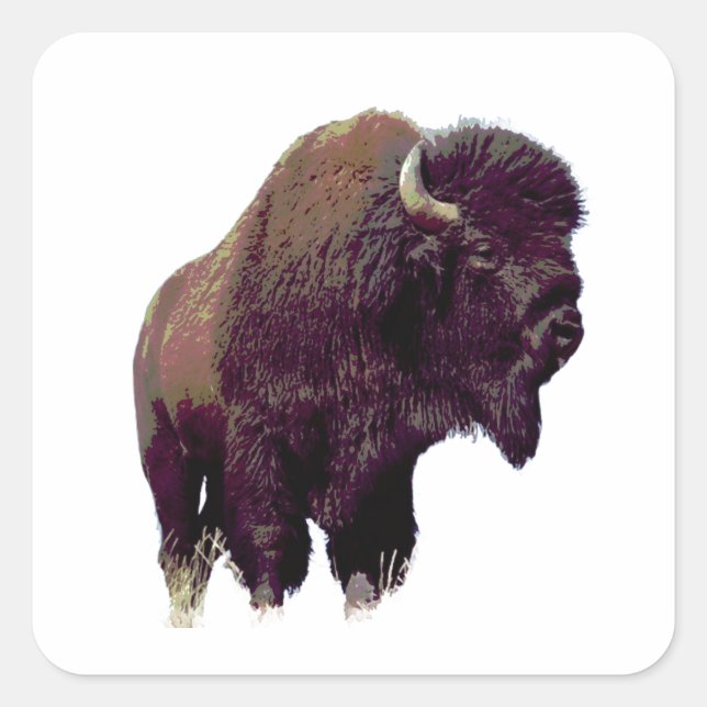 Bison Buffalo Card Square Sticker (Front)