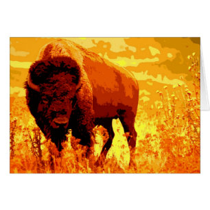 Bison / Buffalo Cards