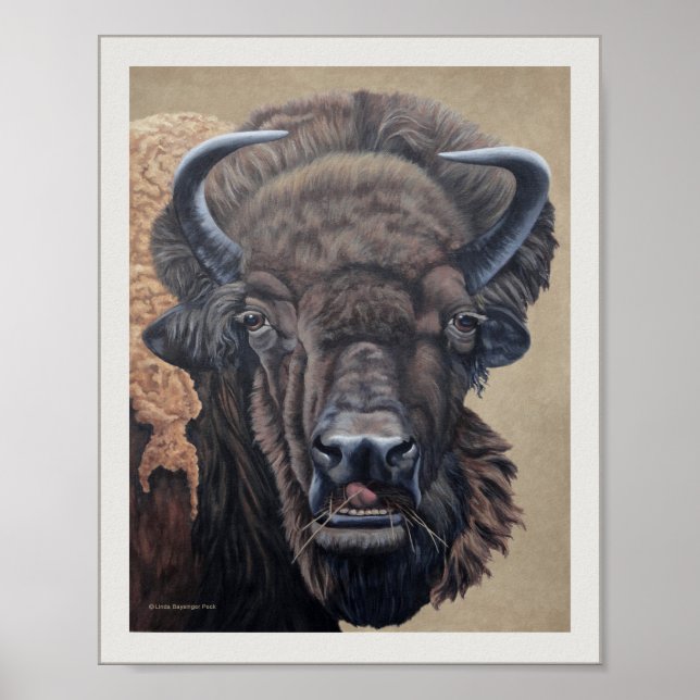 Bison Buffalo Cow Eating on Tan Poster (Front)
