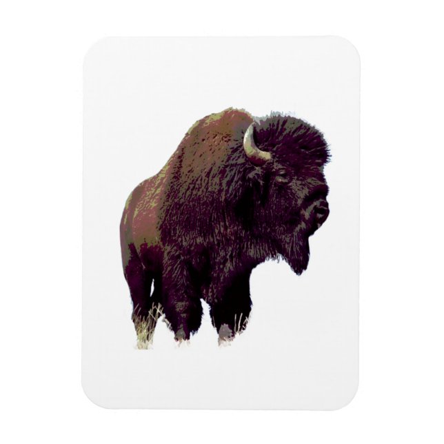 Bison Buffalo  Magnet (Vertical)