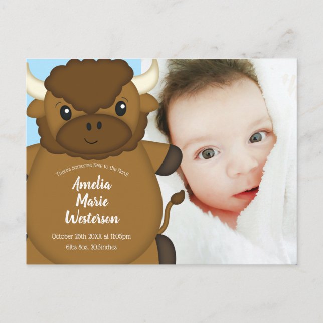 Bison Buffalo New Baby Announcement Postcard (Front)