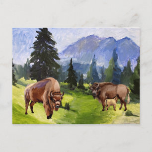 Bison Buffalo Watercolor Landscape Holiday Postcard