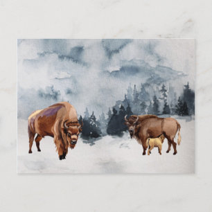 Bison Buffalo Watercolor Landscape Winter Holiday Postcard