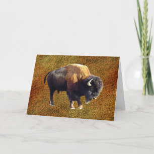 Bison Buffalo Wildlife Greeting Card