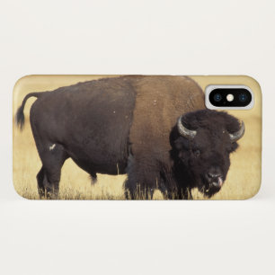 Bison Bull in Yellowstone National iPhone X Case