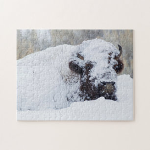 Bison Bull, winter coat Jigsaw Puzzle