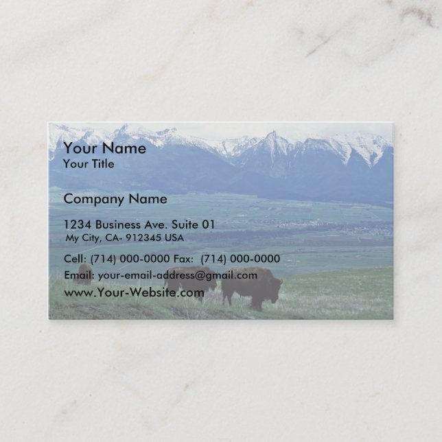 Bison Business Card (Front)