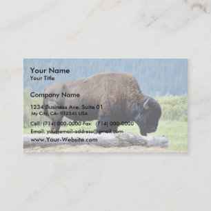Bison Business Card