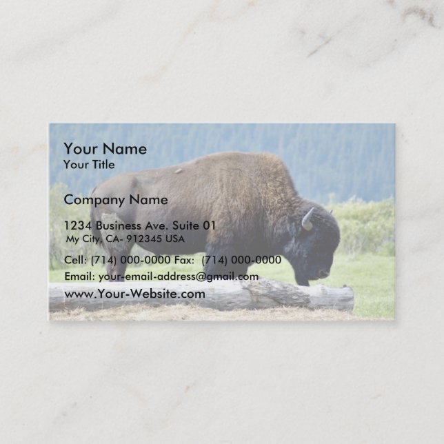 Bison Business Card (Front)