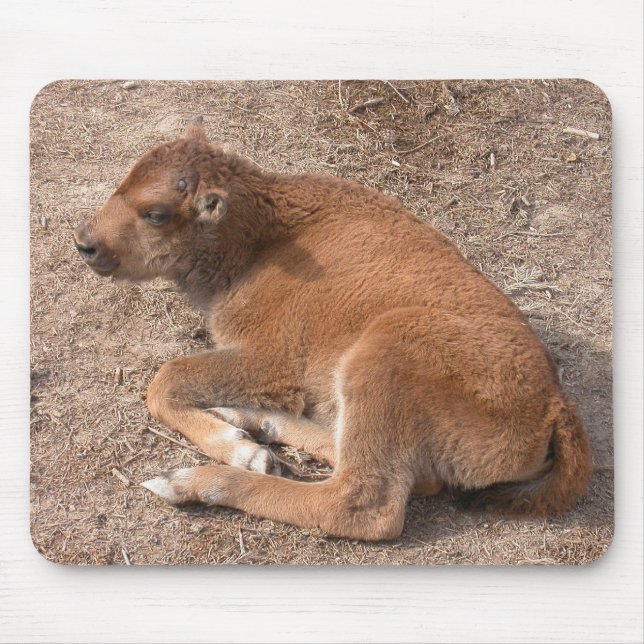 Bison Calf Mouse Mat (Front)