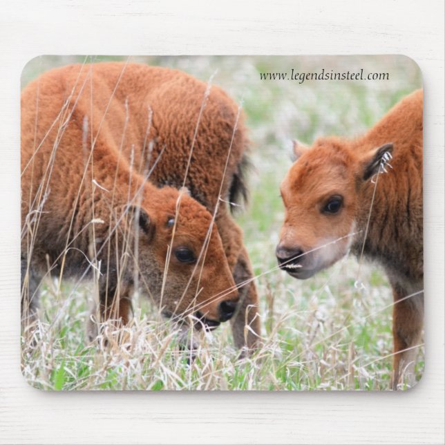 Bison Calves Mouse Mat (Front)