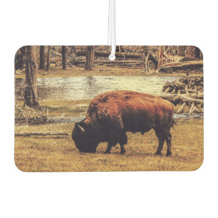 Bison Car Air Freshener