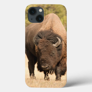 Bison iPhone 13 Case