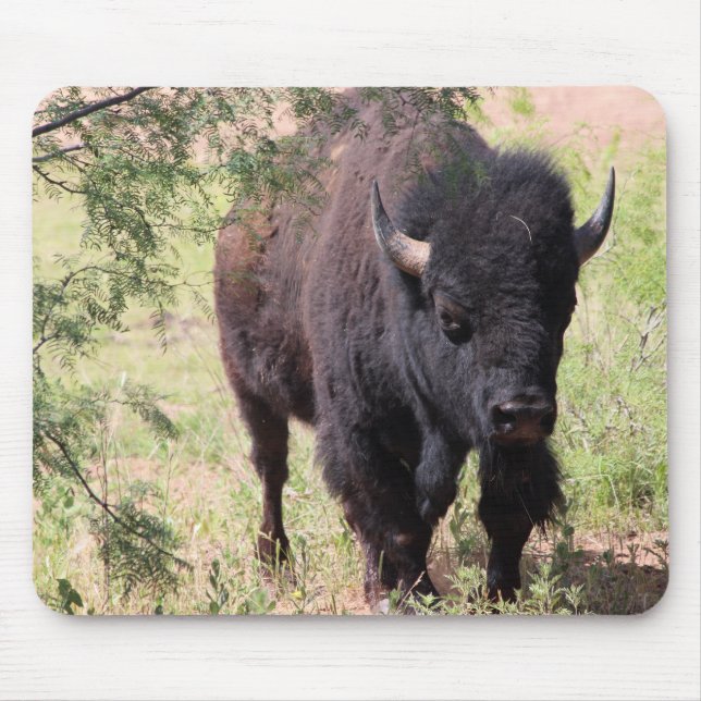 Bison Close Up Mouse Mat (Front)