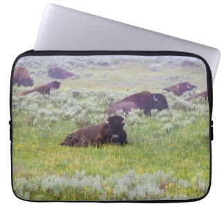 Bison Dream Laptop Case