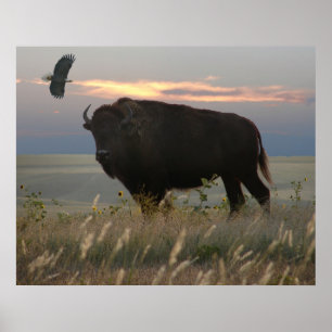 Bison & Eagle Poster