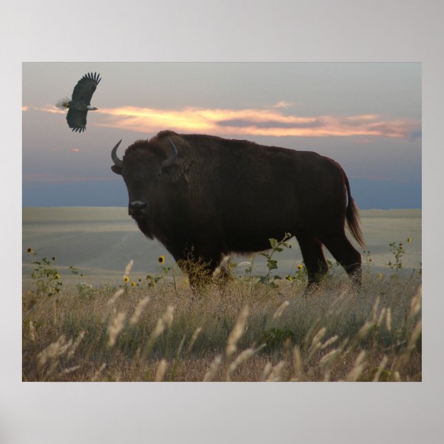 Bison & Eagle Poster (Front)