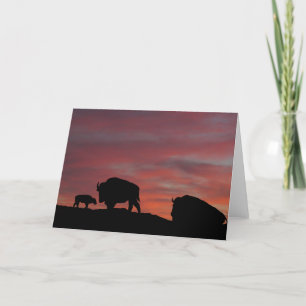 Bison family card