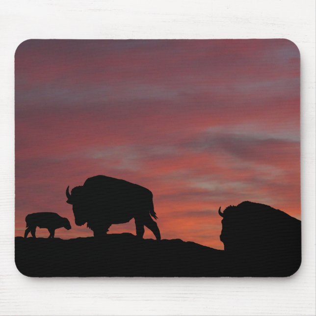 Bison family mouse mat (Front)