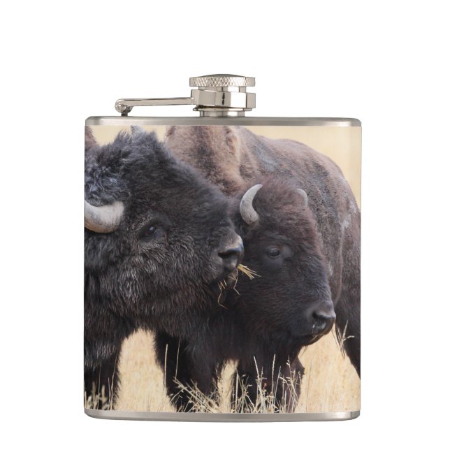 bison friendship hip flask (Front)