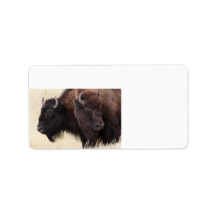 bison friendship label