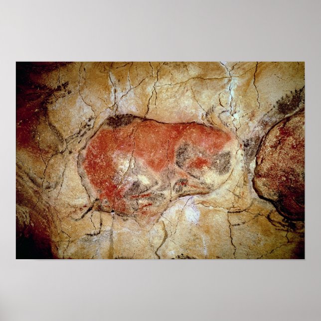 Bison from the Altamira Caves Poster (Front)