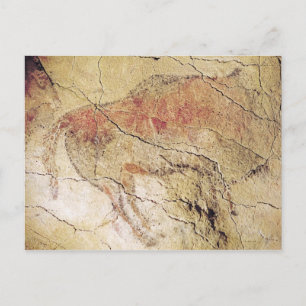 Bison from the Caves at Altamira, c.15000 BC Postcard