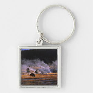 Bison grazing in the Upper Geyser Basin Key Ring