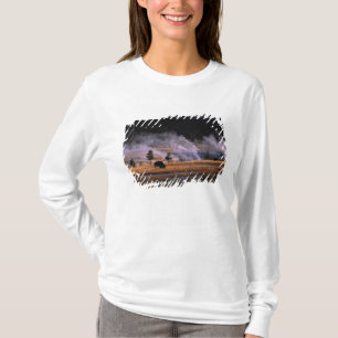 Bison grazing in the Upper Geyser Basin T-Shirt