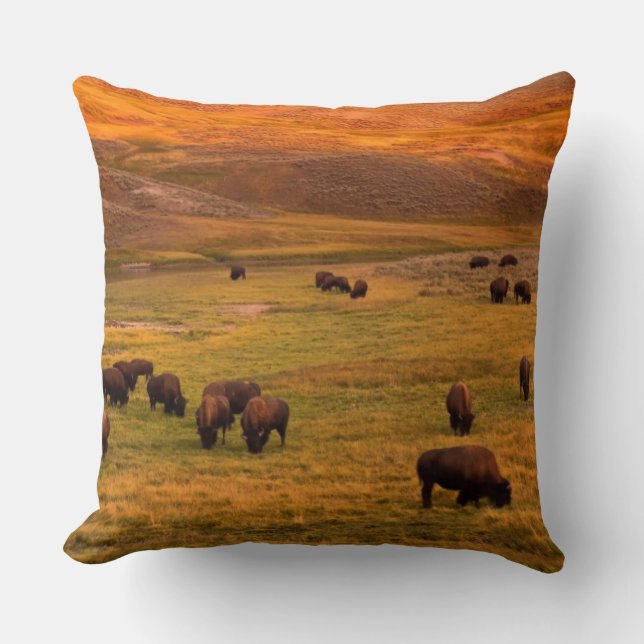 Bison Grazing on Hill at Hayden Valley Cushion (Front)