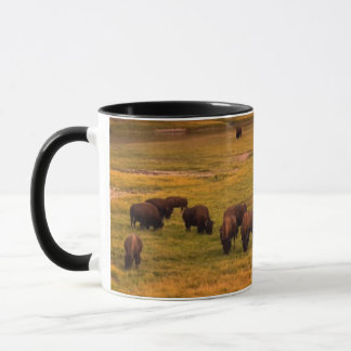 Bison Grazing on Hill at Hayden Valley Mug