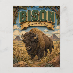 Bison Great Plains POPCUT Postcard