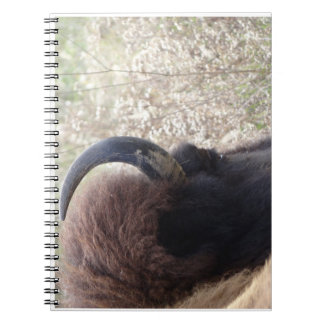 Bison head lying down notebook