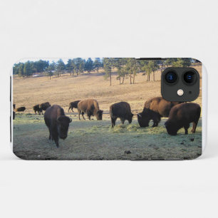 Bison in Colorado iPhone 11 Case
