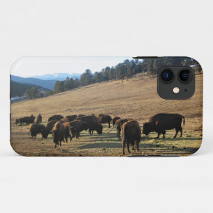 Bison in Colorado iPhone 11 Case
