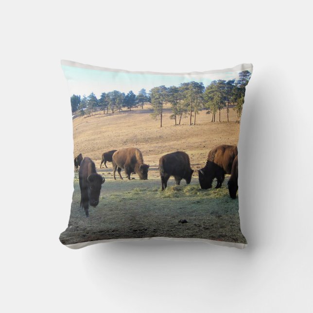 Bison in Colorado Cushion (Front)