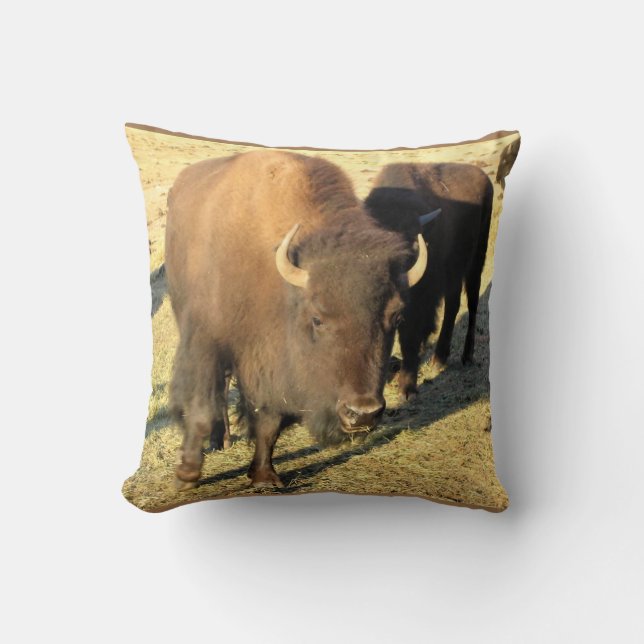 Bison in Colorado Cushion (Front)