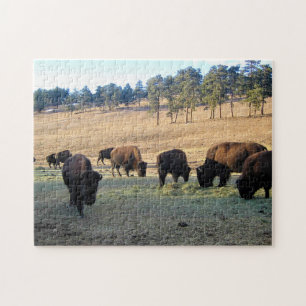 Bison in Colorado Jigsaw Puzzle