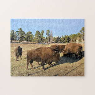 Bison in Colorado Jigsaw Puzzle