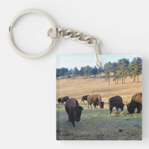 Bison in Colorado Key Ring