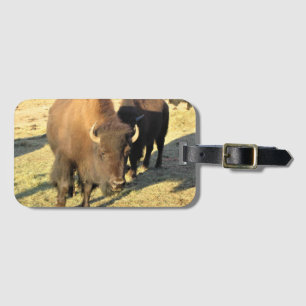 Bison in Colorado Luggage Tag