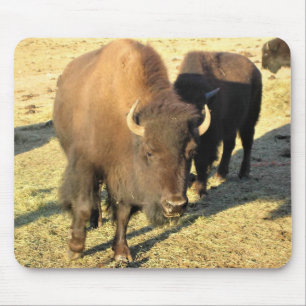 Bison in Colorado Mouse Mat