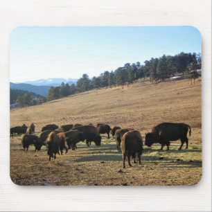 Bison in Colorado Mouse Mat